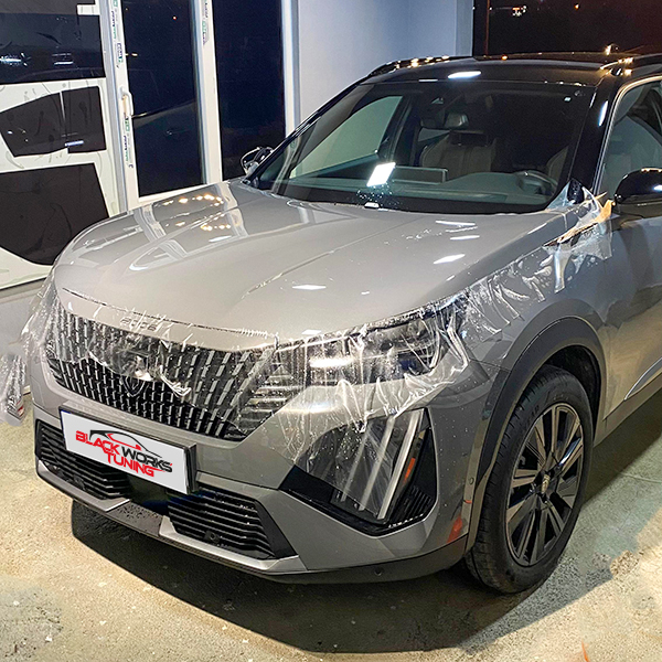 PPF (Paint Protection Film) Kaplama